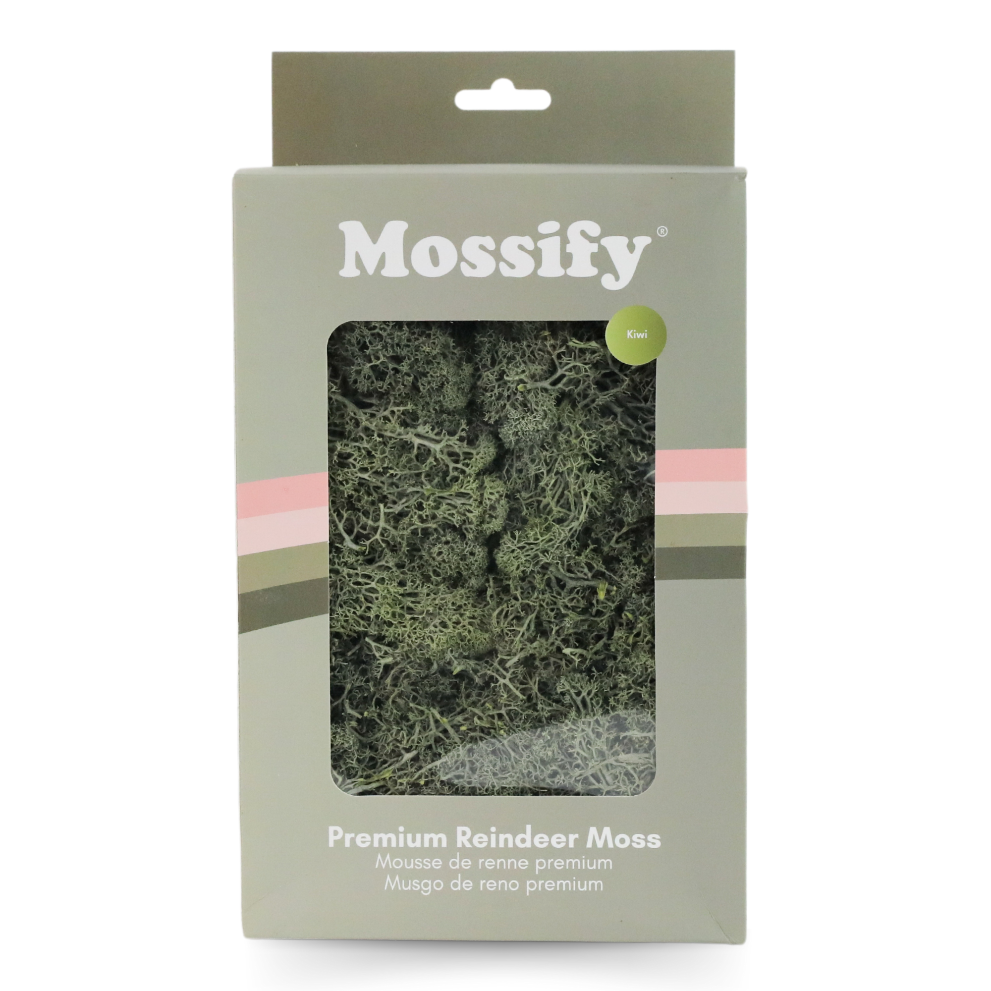 Mossify - Wholesale Live Plant - Premium Preserved Reindeer Moss – Colorful Decorative Mix0