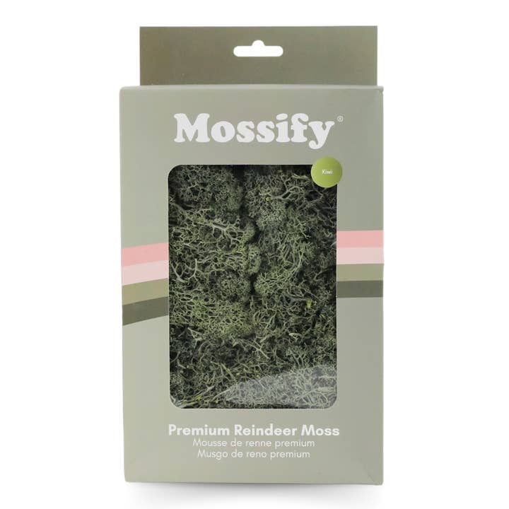 Mossify - Wholesale Live plant - Premium Preserved Reindeer Moss – Colorful Decorative Mix