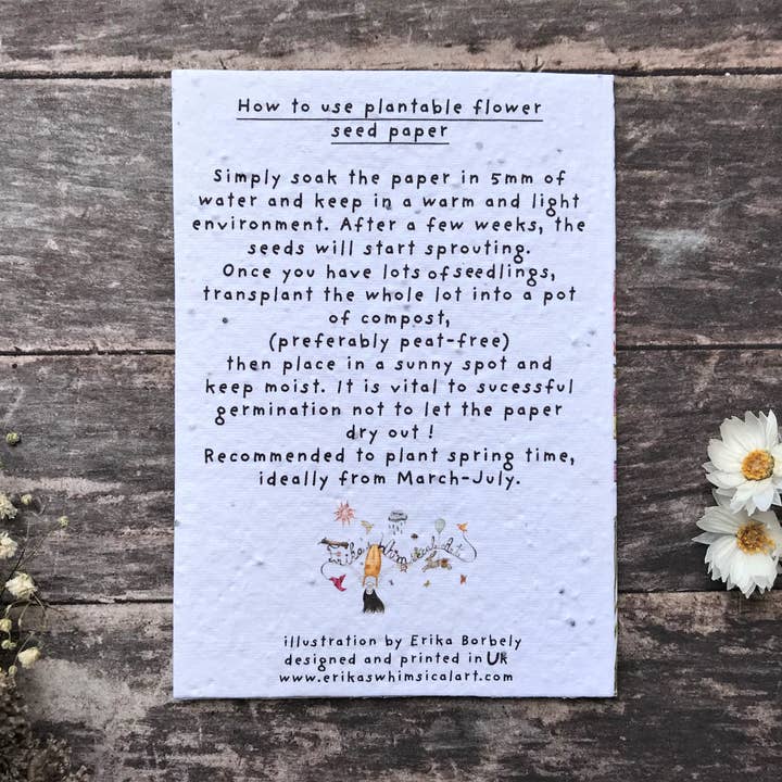 Erika's Whimsical Art – wholesale Birthday card – Plantable Seed Paper Birthday Card, Blank Inside7