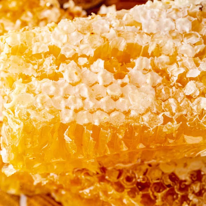 Honeybalm - Wholesale Lip Balm - Honeybalm Honey SPF2