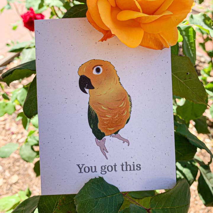 Du fixar det här - Sun Conure för wholesale av Hakuna Matata Vibes