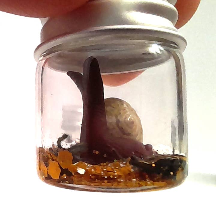 SUPERAWWWSOME - Wholesale Gag Gift/Novelty Gift - Snail Specimen Bottle, Dollhouse Miniature, nature gift jar10