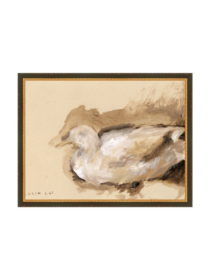 Stagno Segreto per la vendita all'ingrosso da parte di Splendus