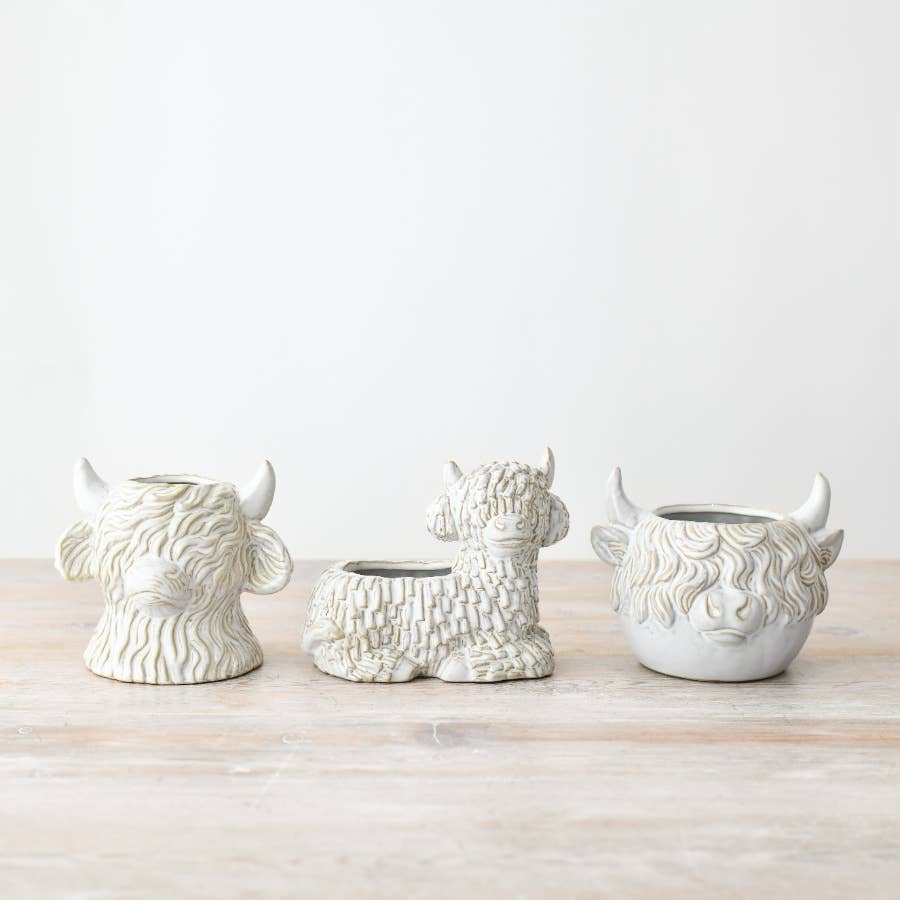 Gainsborough Giftware x Portland Living – wholesale Plant pot – Laying Down Highland Cow Planter, 14.7cm 1
