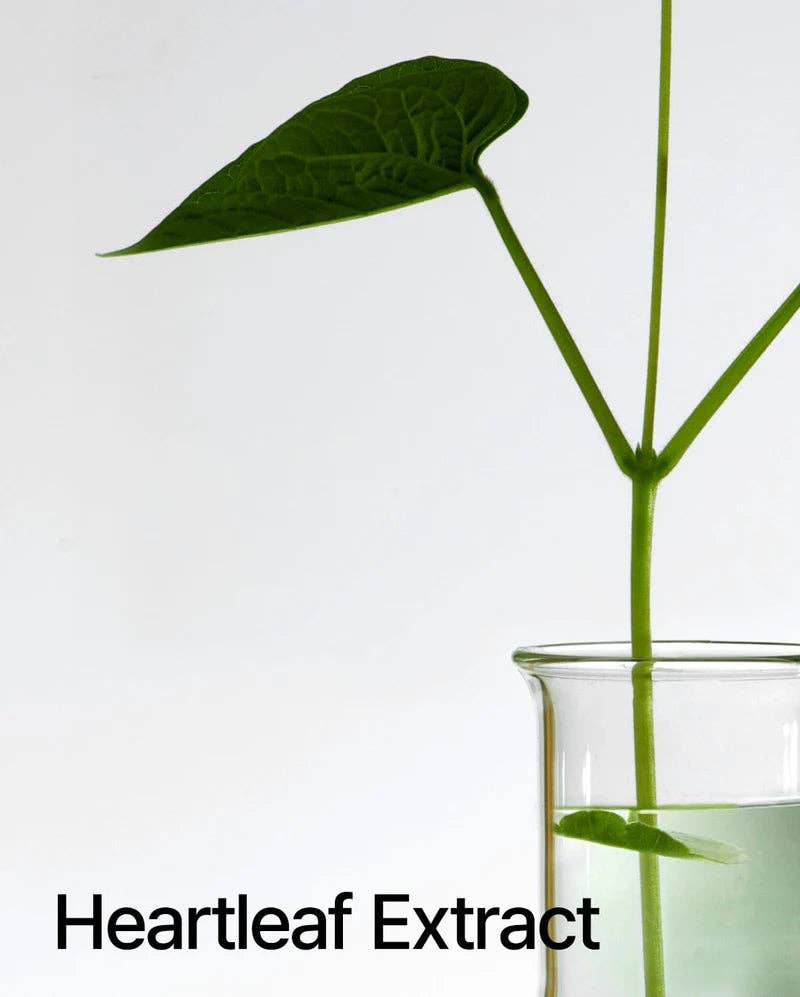 Beauty of Joseon, ANUA, COSRX, SKIN1004, Lilyfield - Wholesale Facial Cleanser - ANUA Heartleaf Pore Control Cleansing Oil (200ml)5