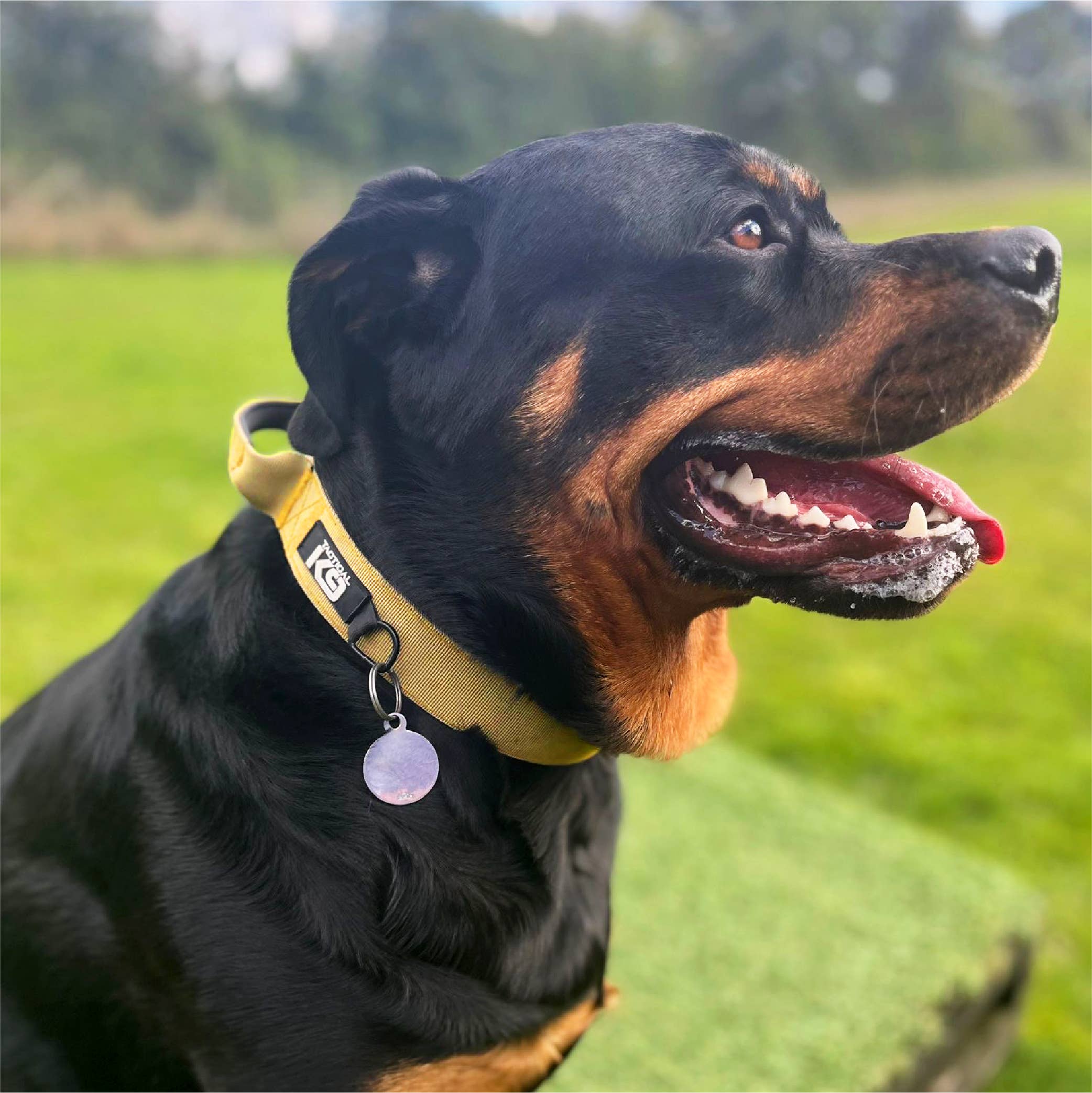 HugglePets – wholesale Pet collar – Dog – HugglePets Tactical K9 Endurance Dog Collar27