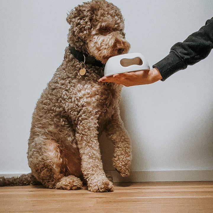 United Pets - Wholesale Pet Bowl - Cat/Dog - Extra small ceramic bowl for cats and dogs4