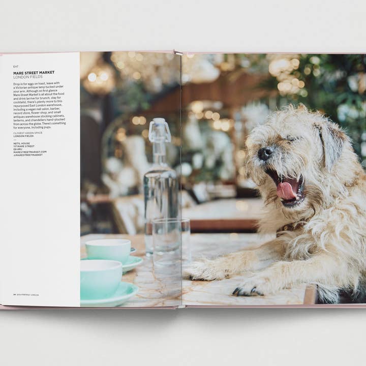 Hoxton Mini Press - Wholesale Pets - Dog-Friendly London3