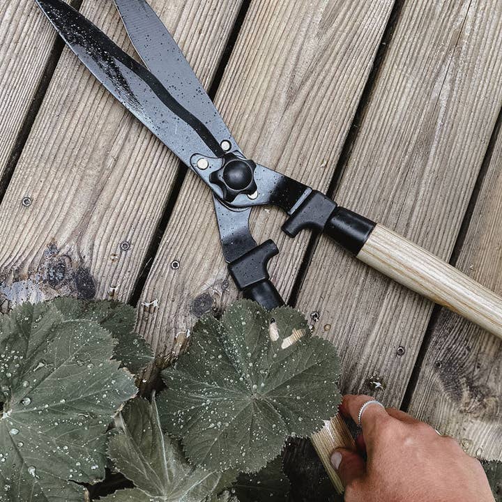 by Benson - Wholesale Garden Tool - Garden Hedge Shears Deluxe2