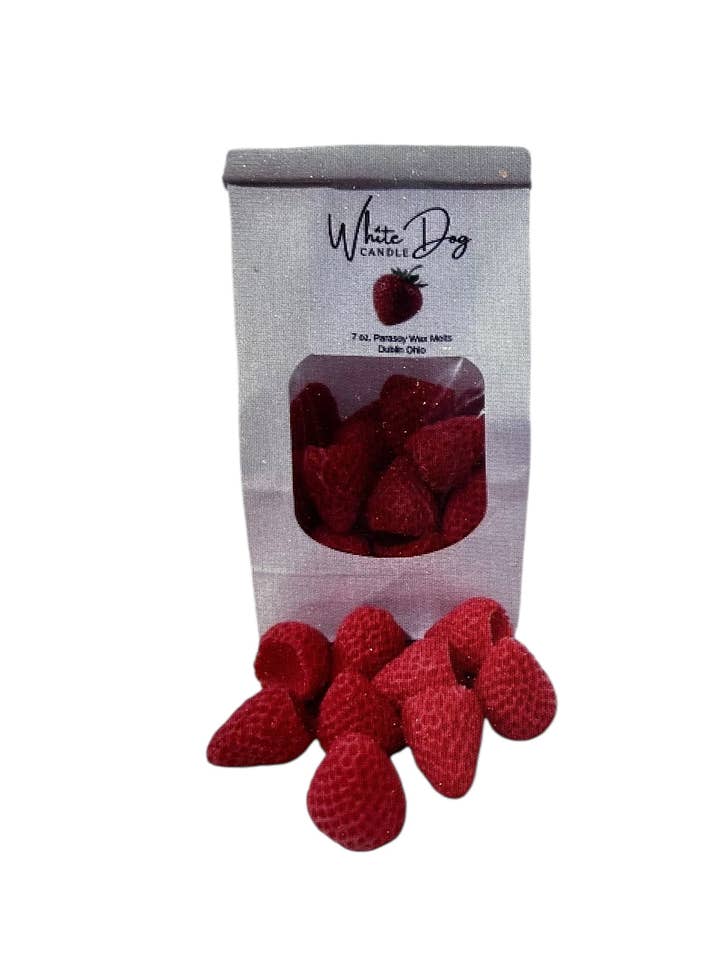 7 onces de fondants en cire Parasoy parfumés et en forme de fraise pour la vente par White Dog Candle LLC