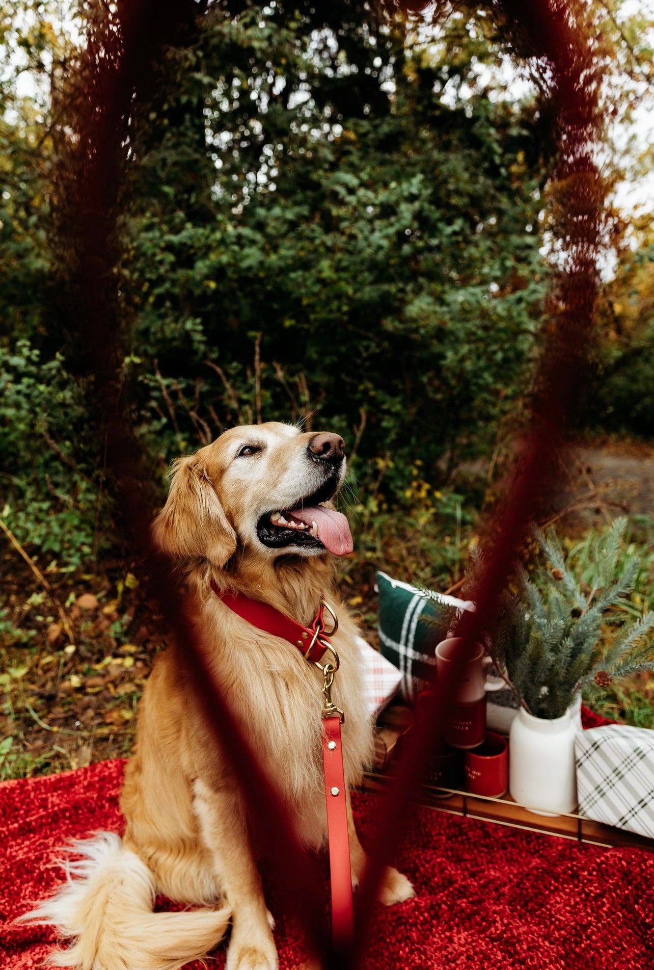 Ruff N' Fluff - Wholesale Pet Leash - Dog - 6 Ft. Adventure Proof Leashes12