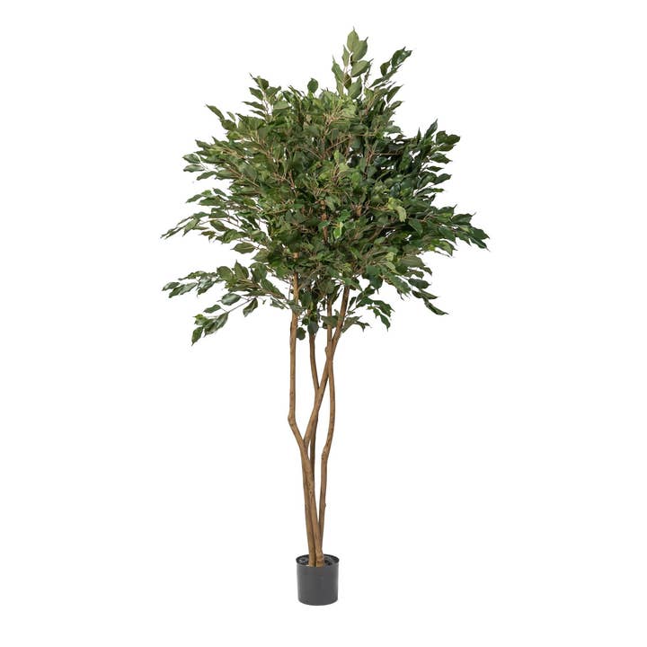 6.5' Ficus Tree FP1045 for wholesale by Replica Plants and Decor