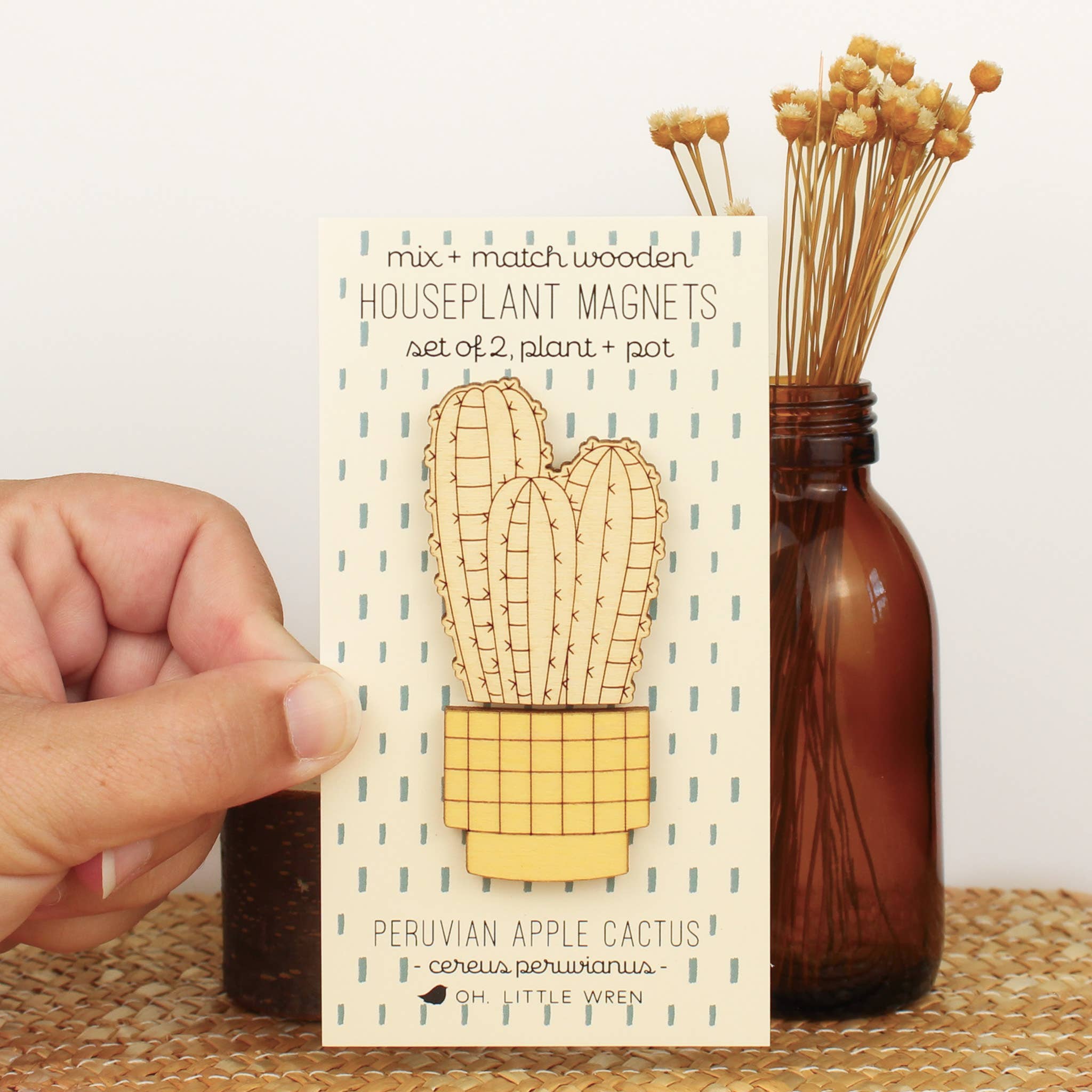 oh, little wren - Wholesale Magnet - Wood House Plant Magnets | Peruvian Apple Cactus | Plant Lover Gift1