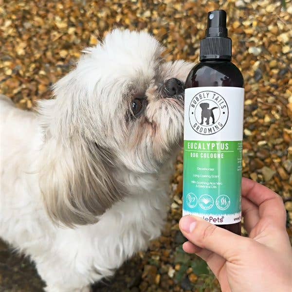 HugglePets – wholesale Pet spray – Dog – HugglePets Bubbly Tails Dog Cologne18