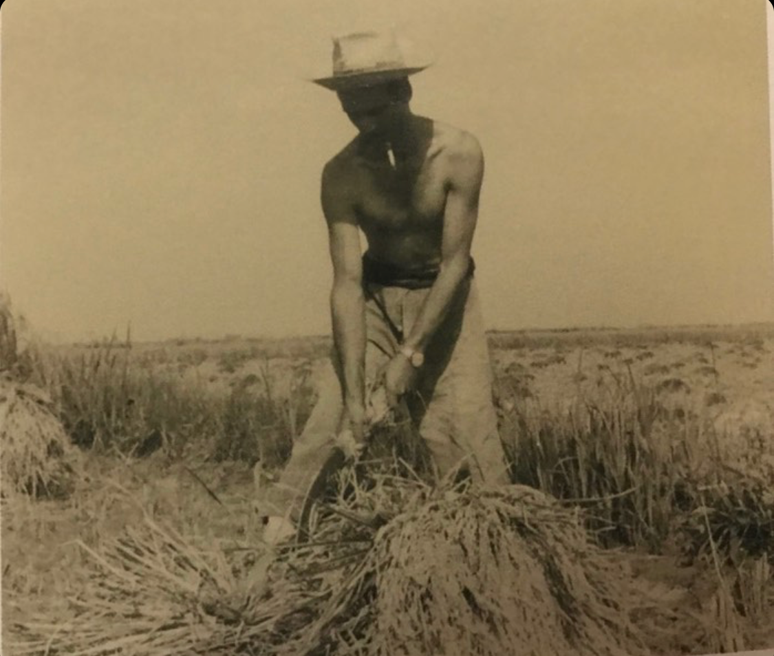 Khayyan Specialty Foods - Wholesale Rice - Paella Bomba Rice of Valencia 18/1kg - LA PERLA11