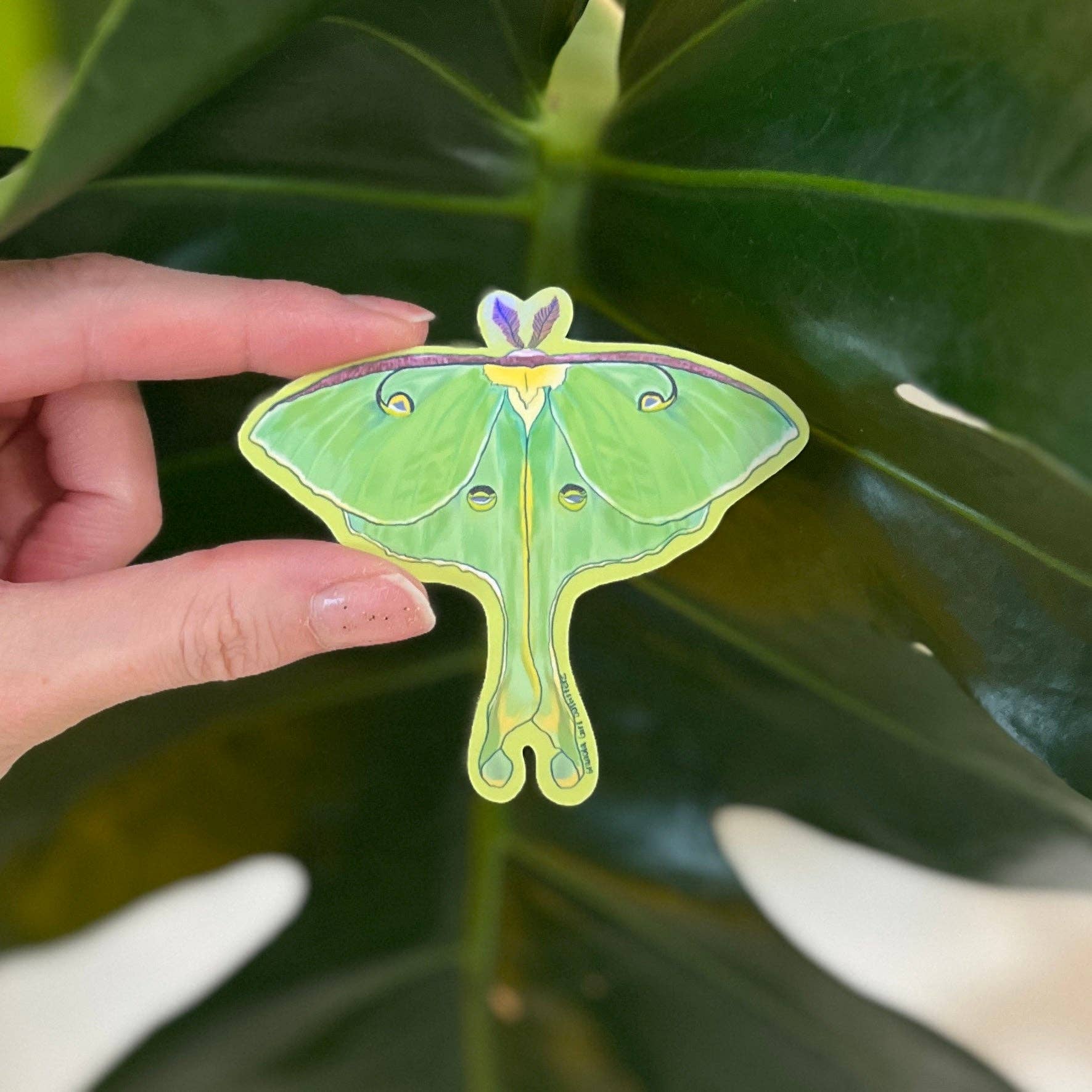 Granola Girl Outfitters - Wholesale Sticker - Holographic Luna Moth Sticker - Light-weight / Indoor: 🌿📖3