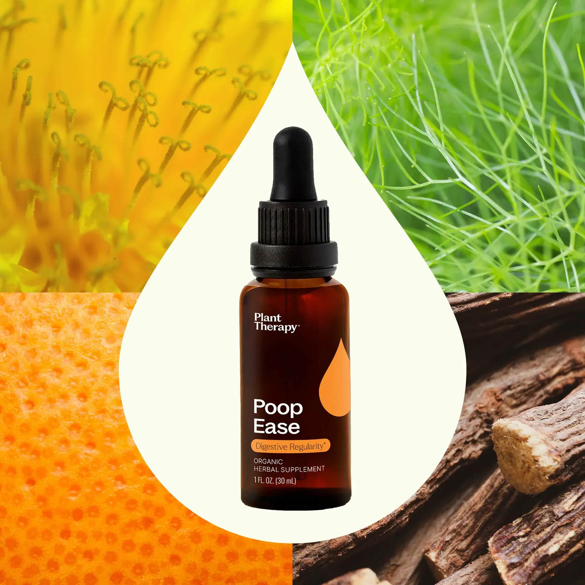 Plant Therapy – wholesale Oral supplement/vitamin – PoopEase Organic Tincture 30 mL1