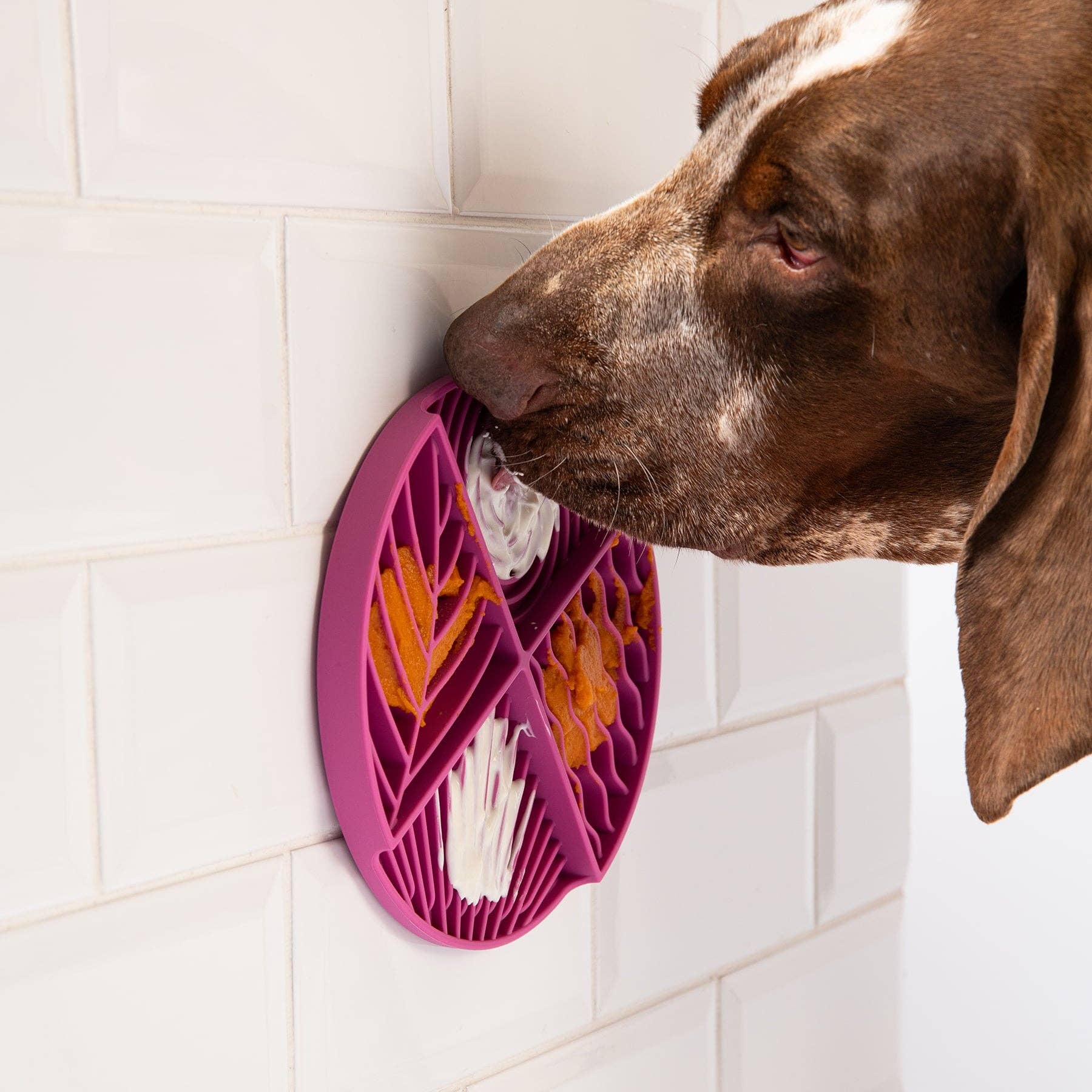 Awoo – Tapete para comedouro – Cão por atacado – Tapete Paradise Lick4