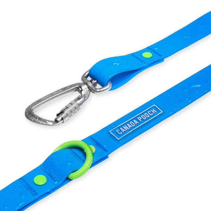 Laisse imperméable pour chien (bleue) pour la vente par Canada Pooch