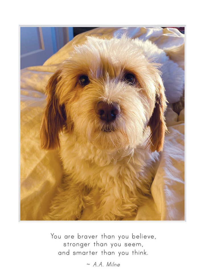 B747 - Honey in the Morning for wholesale by Stonehenge Designs