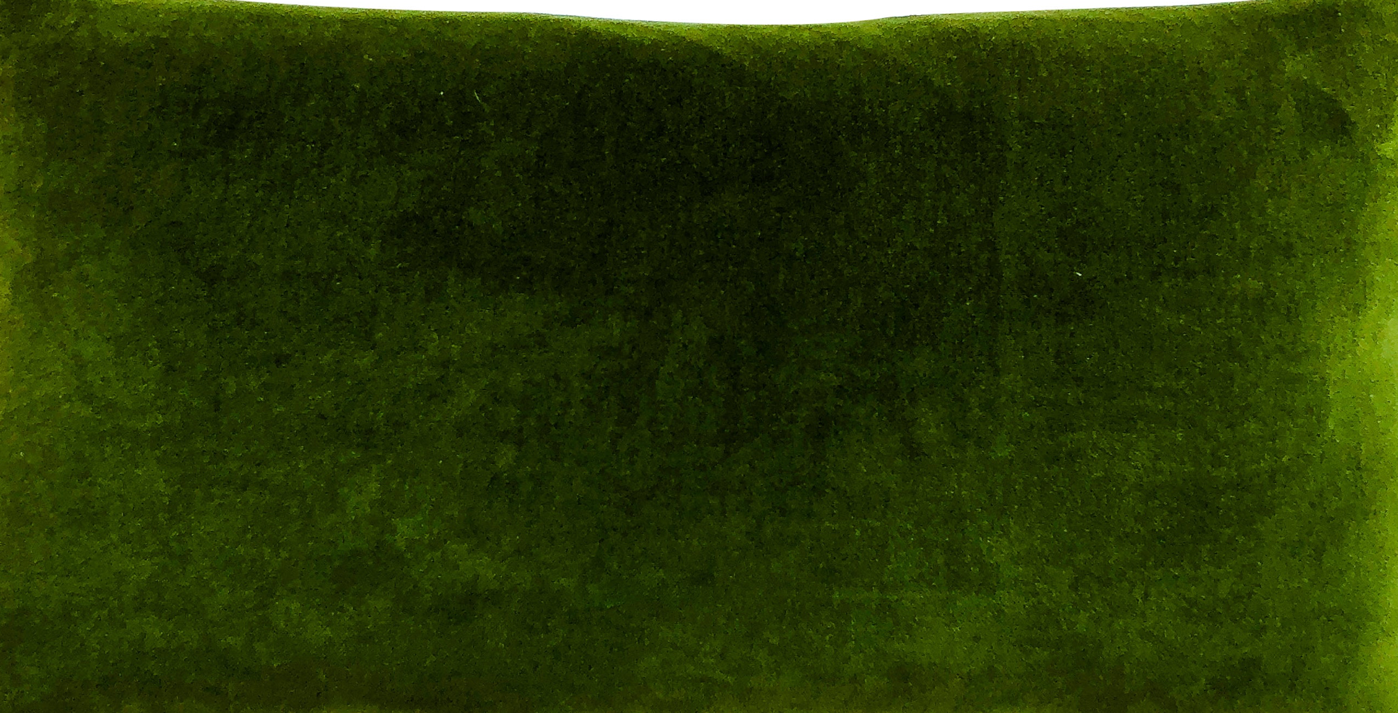 Erin Flett – wholesale Clutch bag – women's – Velvet Clutch8