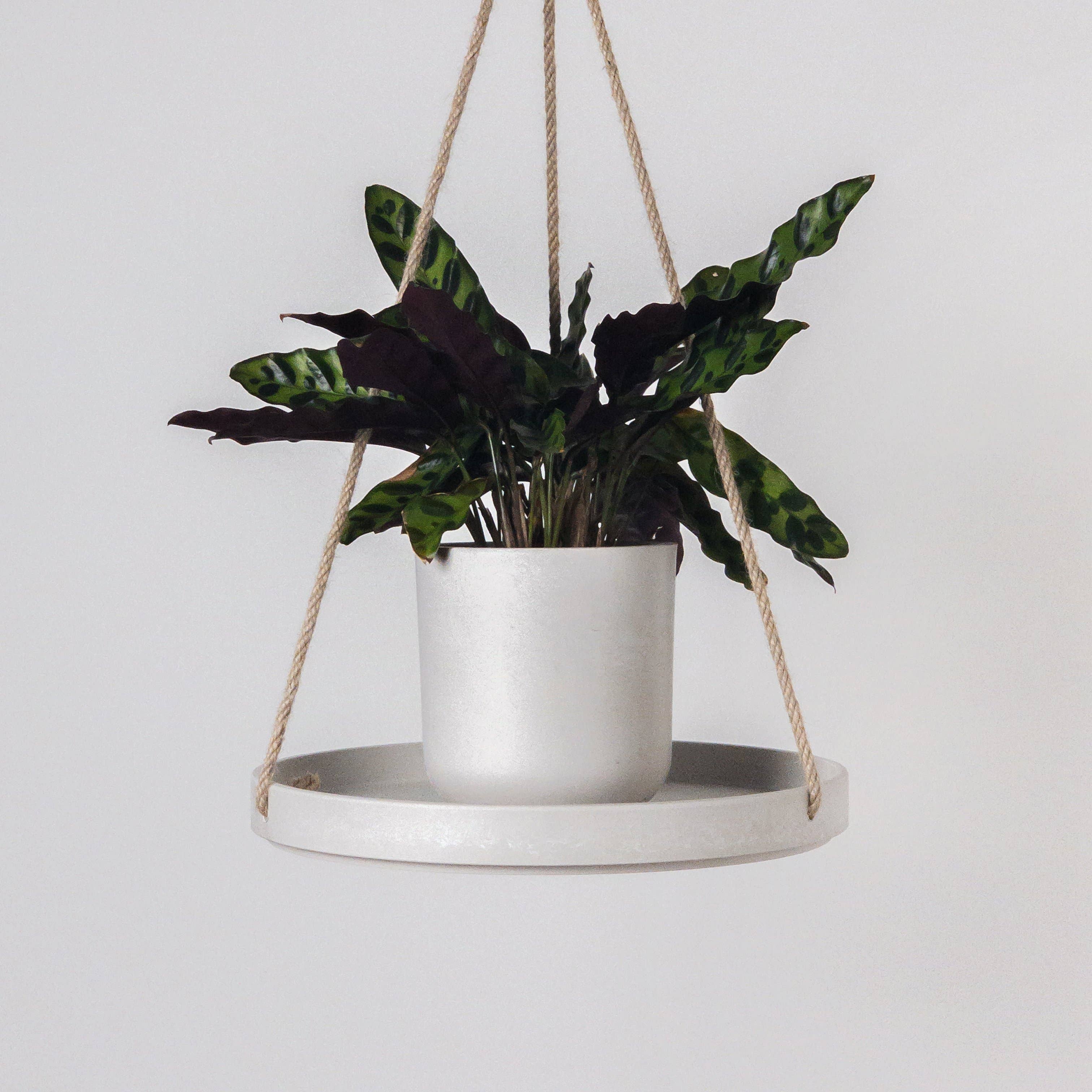 Kanso Designs - Wholesale Hanging Planter - 10" Signature Stone Hanging Tray5