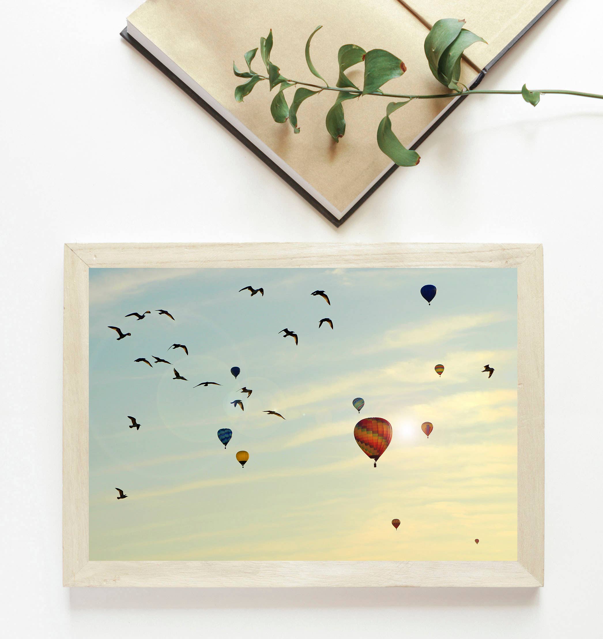 Veni Etiam Photography - Wholesale Art Print - Hot Air Balloons Art Print4