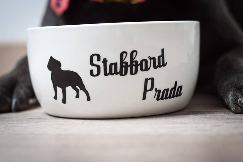 CréaPimk - Wholesale Pet Bowl - Cat/Dog - Personalized bowl1