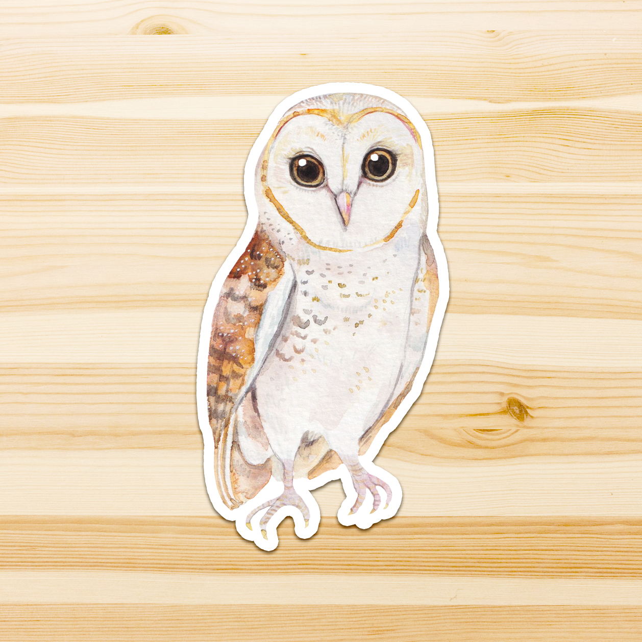 Watercolour By Cat - Vendita all'ingrosso Adesivo - Adesivo in vinile con grande uccello australiano16