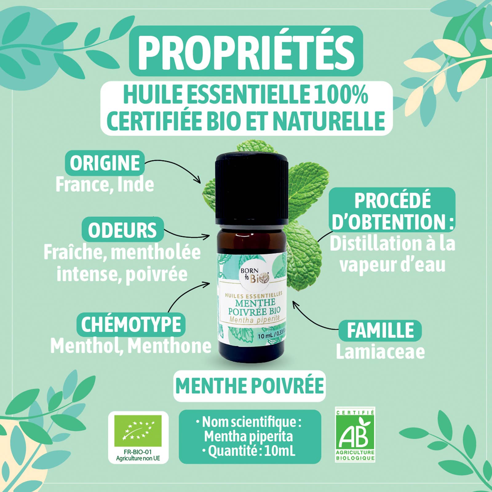 Les Laboratoires Bio Seasons – wholesale Essential oil – Organic peppermint essential oil 10 ml3