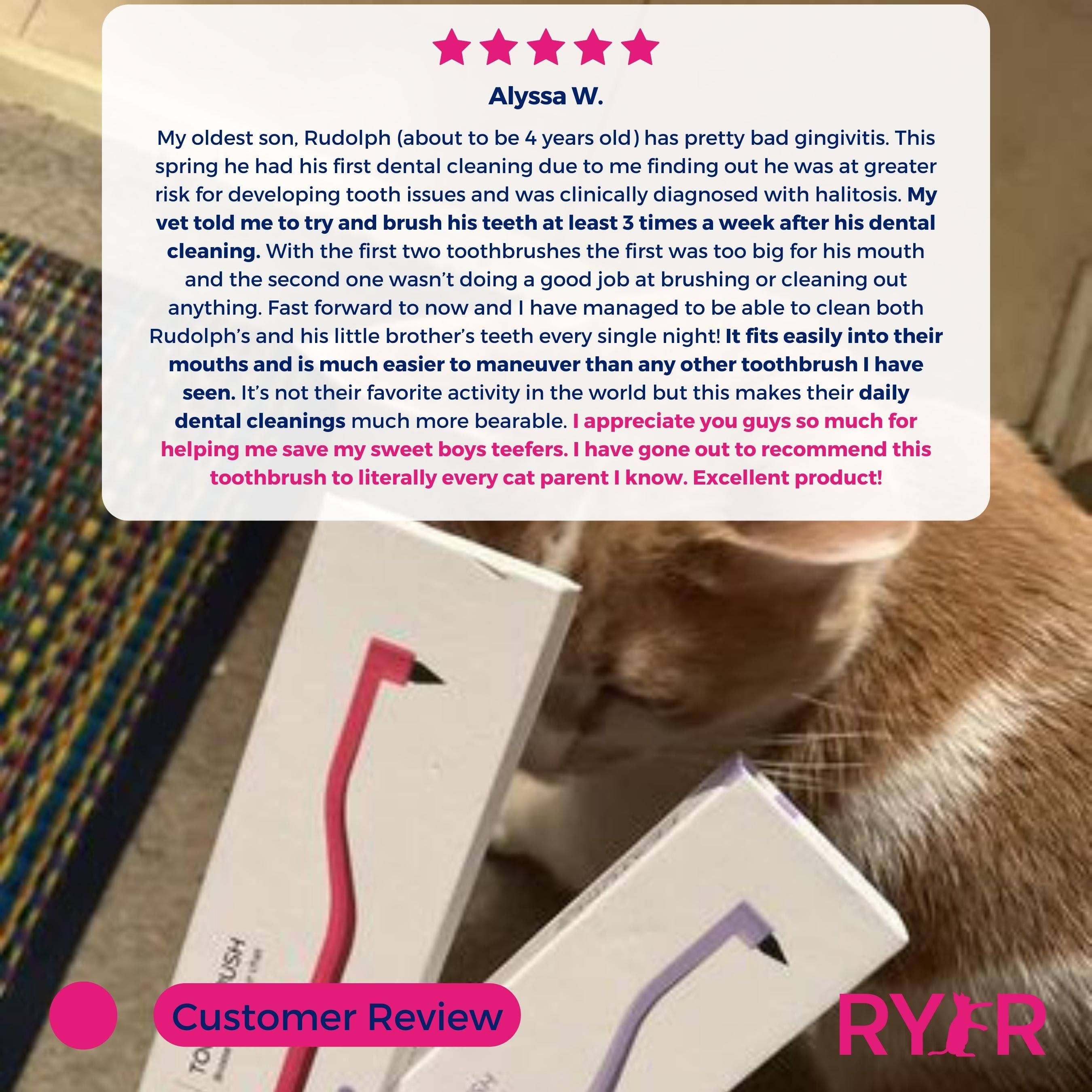 RYERCAT - Vente Brosse – chat et chien - Lot de brosses à dents à micro-tête et double face pour chat, couleurs mélangées !13