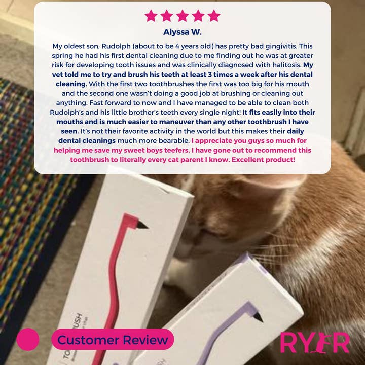 RYERCAT - Vente Brosse – chat et chien - Lot de brosses à dents à micro-tête et double face pour chat, couleurs mélangées !13