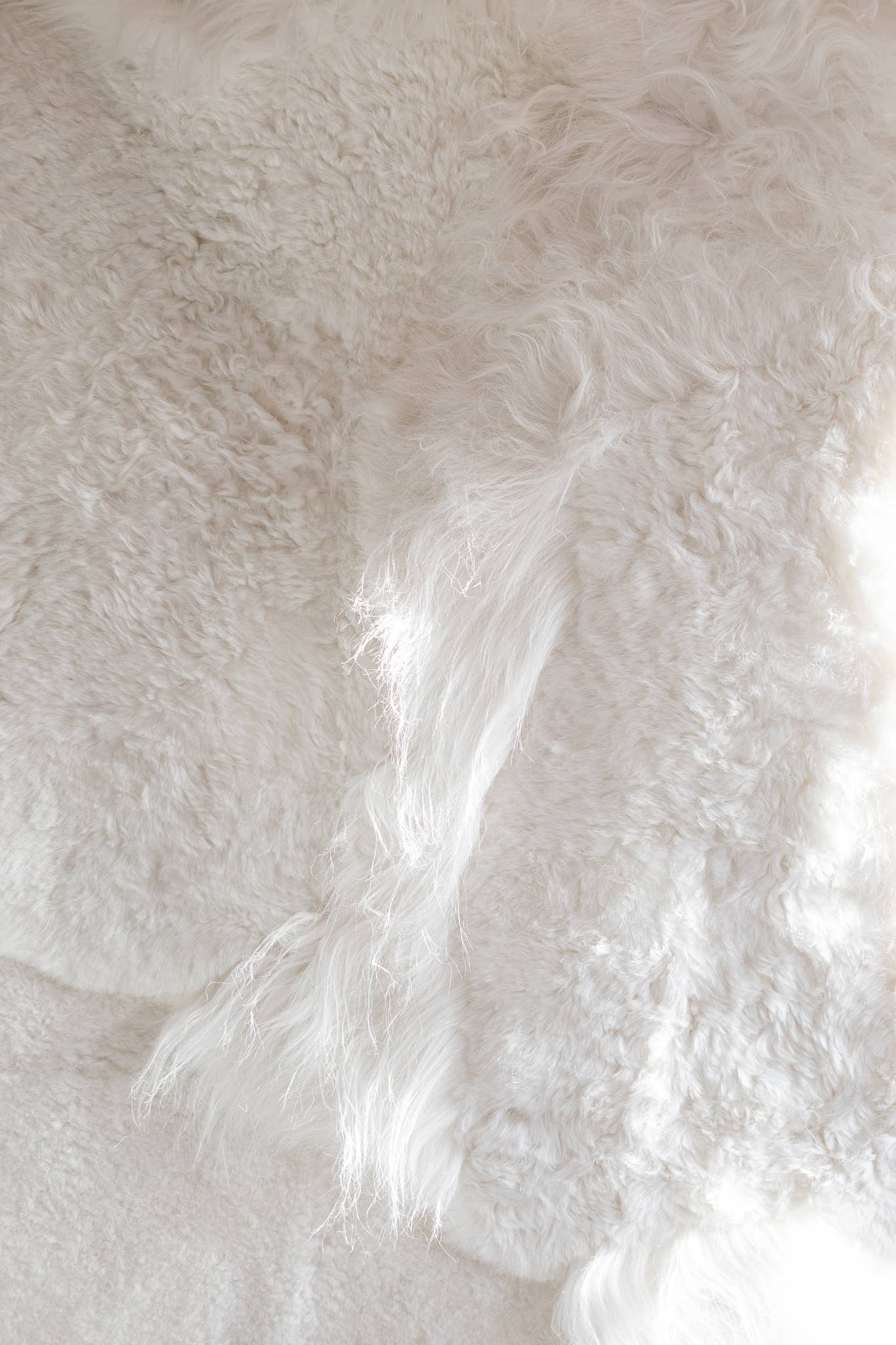 Van Buren - Wholesale Area Rug - Melange sheepskin rug | White1