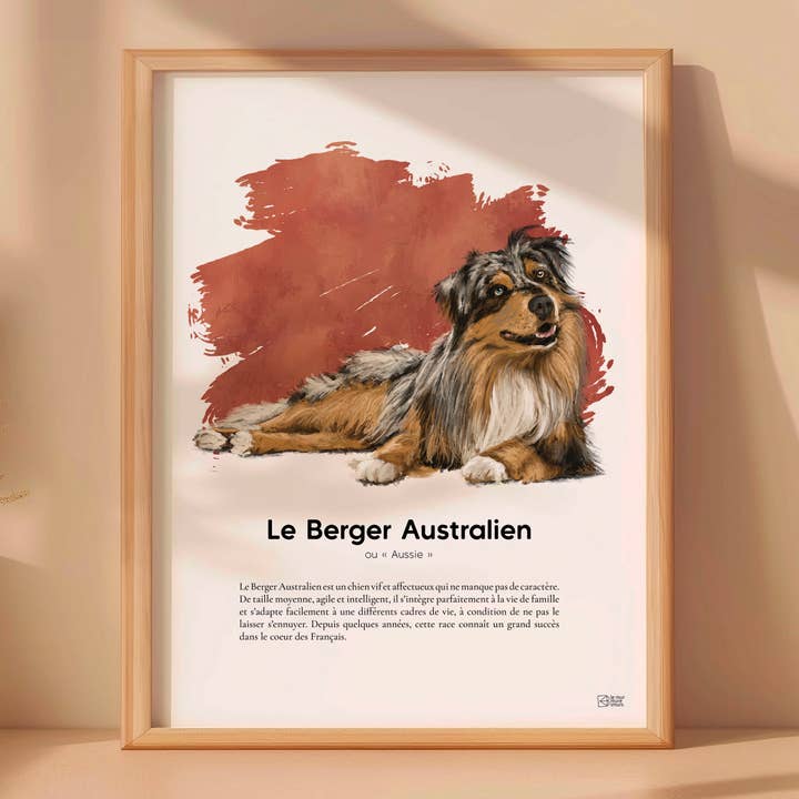 Vis Australian Shepherd〚Begrænset Udgave & certificeret 〛 for engroshandel hos le murmure des murs