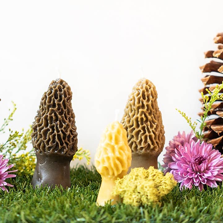 Happy Organics - Wholesale Novelty Candle - Beeswax Morel Mushroom Candle 2-pack