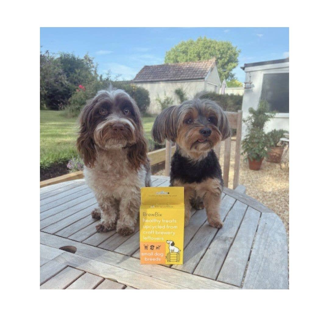 BrewBix - Vente Biscuits – chien - 12 x 100g BrewBix Biscuits au beurre de cacahuète pour petites races de chiens1