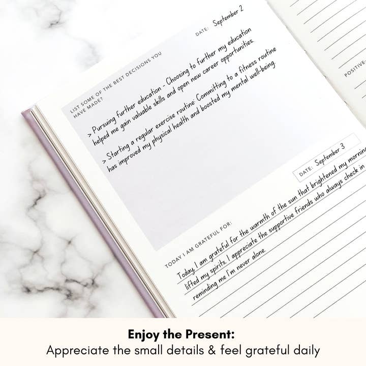 Lamare - Wholesale Journal/Diary - Lamare Daily Gratitude & Affirmation Journal for Women1