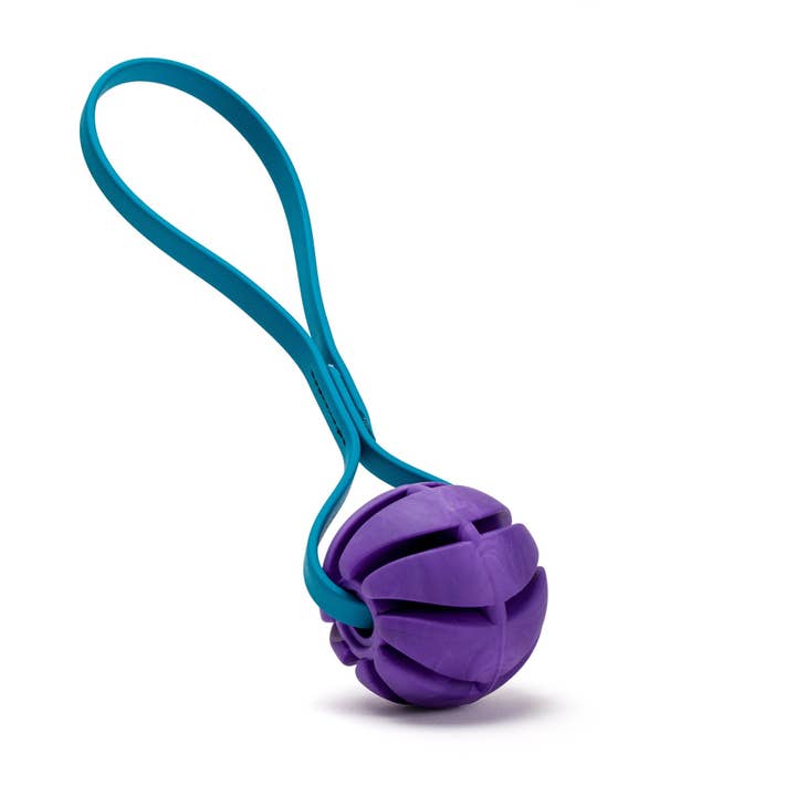 Dogline - Wholesale Pet Fetch Ball - Dog - Rubber Spiral Ball with Biothane Handle15
