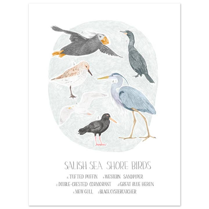 Salish Sea Short Birds Fine Art Print for wholesale by Stacy Hsu Design & Illustration