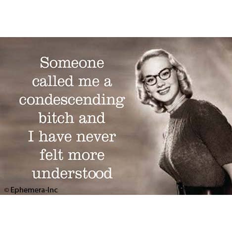 Ephemera - Wholesale Magnet - Magnet: Someone called me a condescending bitch