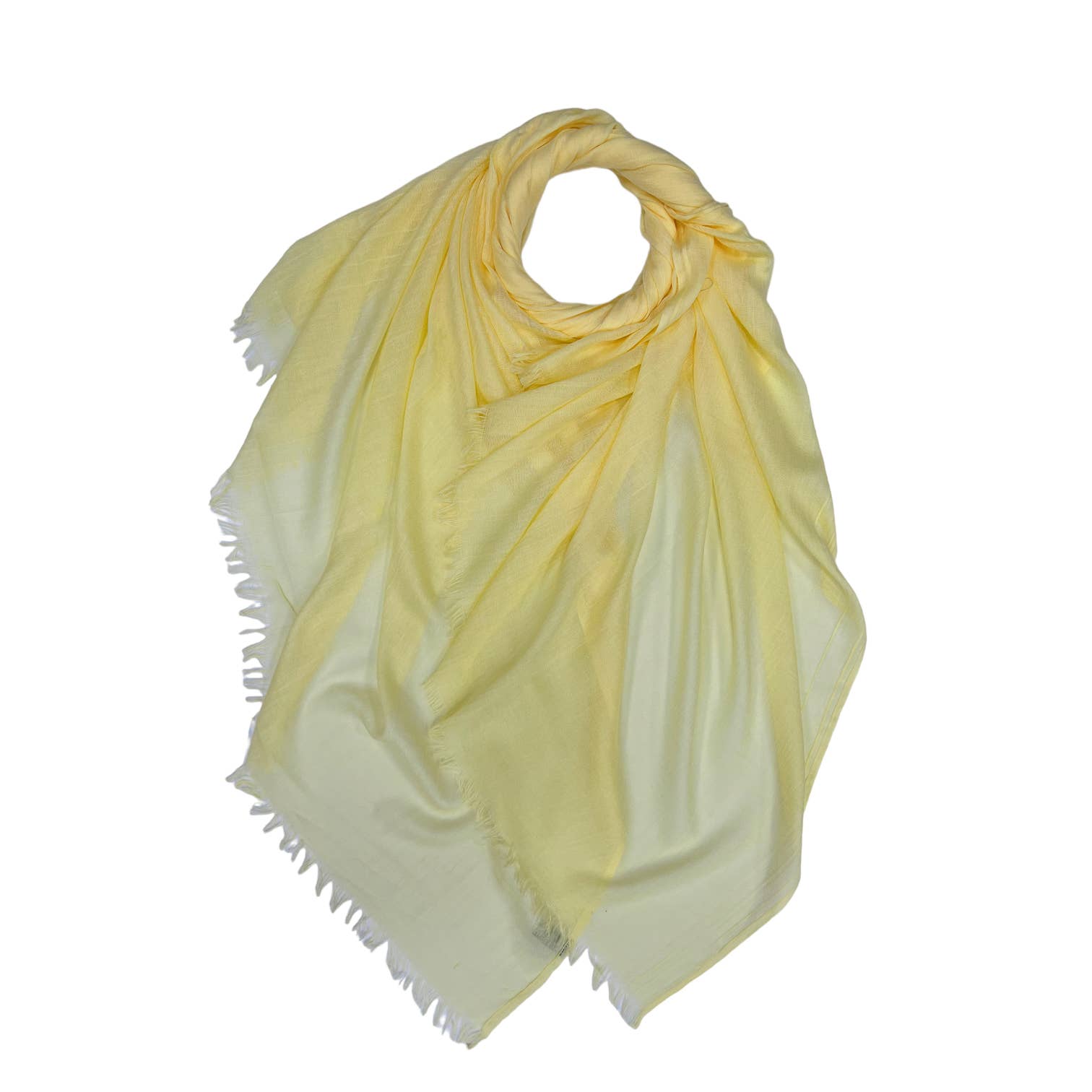 London Scarves – Engroshandel Tørklæde - Dame – Klassisk almindeligt bomuldsblanding tørklæde færdig med frynser64