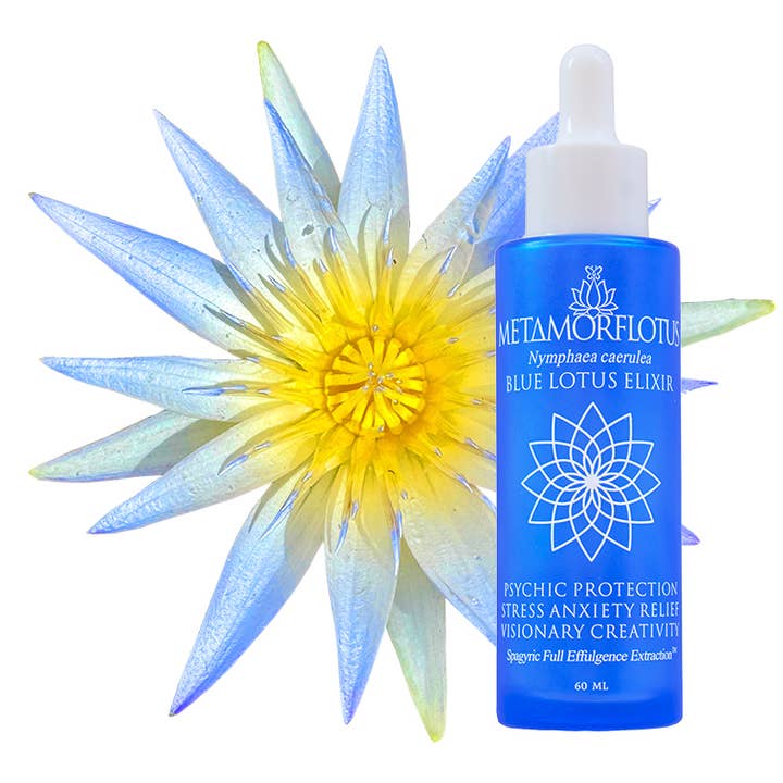 METAMORFLOTUS - Vente Élixirs - Élixir spagyrique Blue Lotus