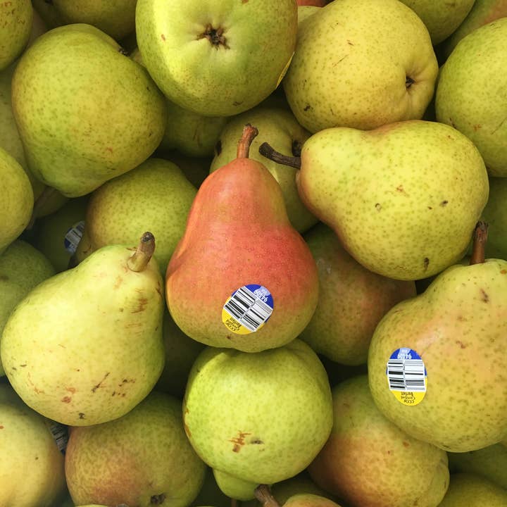 FreshDried - Wholesale Dried/Dehydrated Fruit - Dried Pear Slices - organic