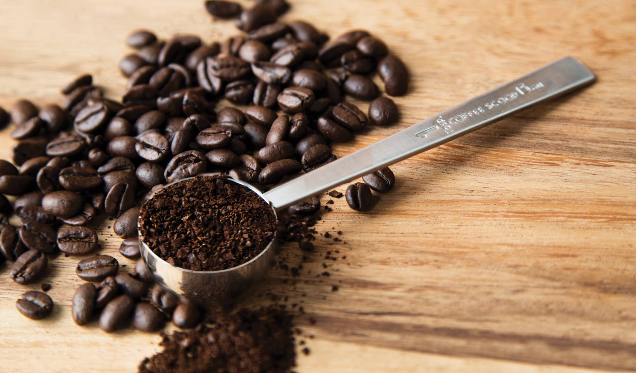 Fox Run Brands - Wholesale Measuring Spoon - Fox Run Coffee Measure Scoop, 1-Tbsp, 1.5" x 1.25" x 5.75"1