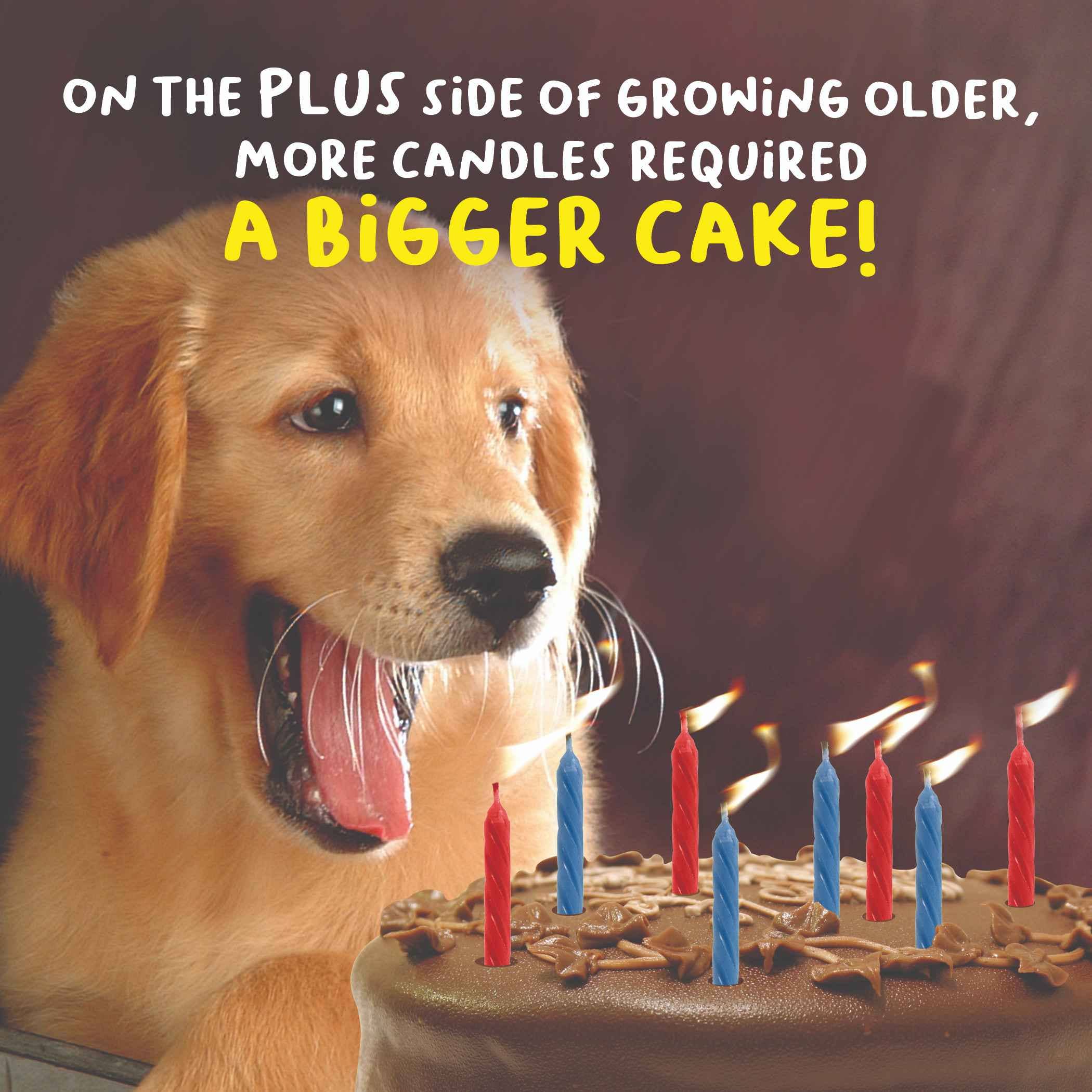 EMOTIONAL RESCUE - Vente Carte de vœux classique - Offre de cartes de vœux de la poste NFSP-99-PACK23