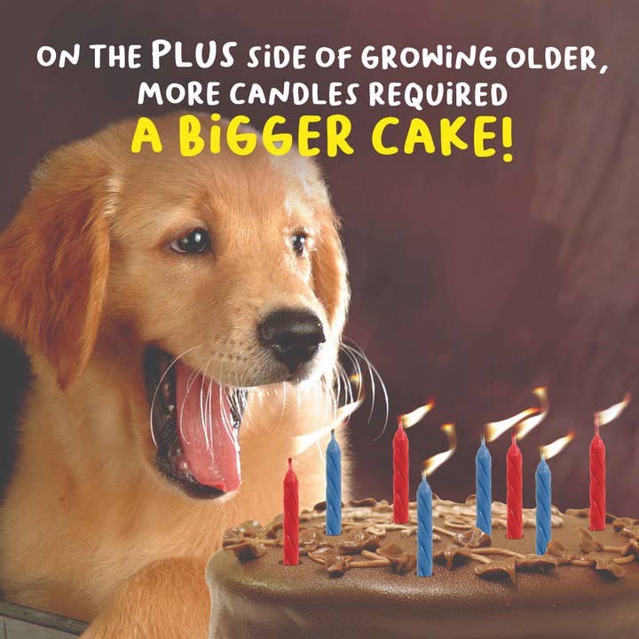 EMOTIONAL RESCUE - Vente Carte de vœux classique - Offre de cartes de vœux de la poste NFSP-99-PACK23