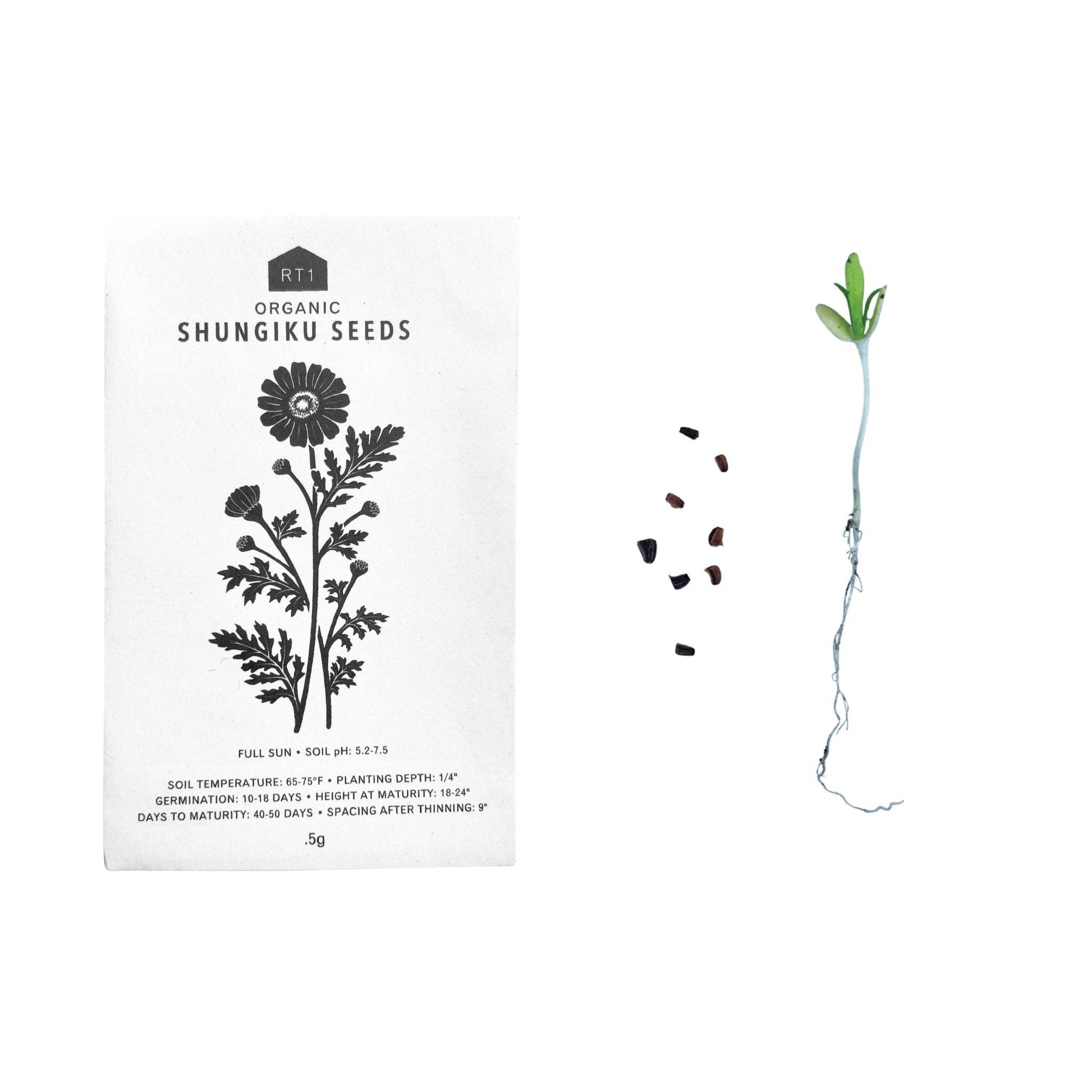 RT1home – wholesale Frön – ÖRTFRÖN - 1 PACK27