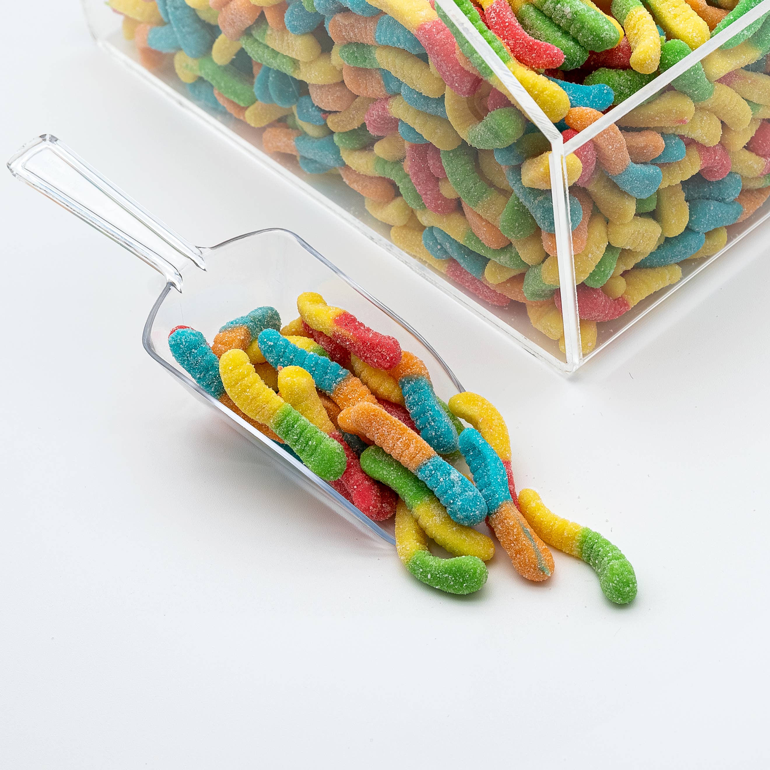 Sugar Bear Candy - Wholesale Gummy - Gummy Sour Worms0