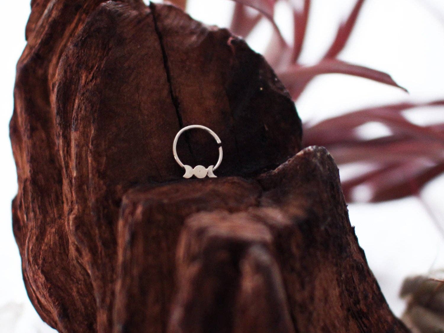 Inchoo bijoux inc - Wholesale Nose Ring - Moon Phase Septum5