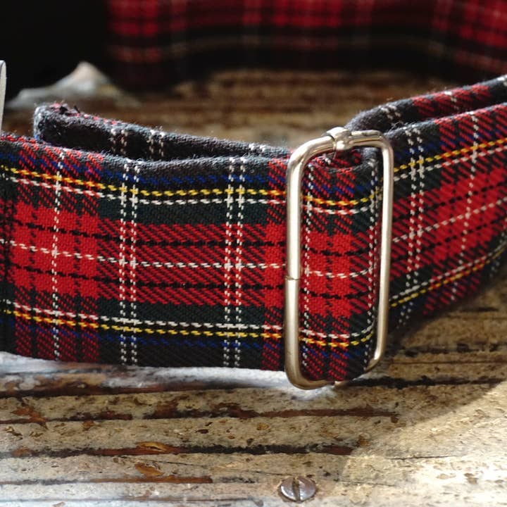 hundsfutter - Wholesale Pet Collar - Dog - Collar, leash, and bag holder set.19